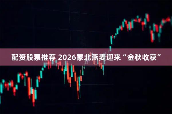 配资股票推荐 2026蒙北燕麦迎来“金秋收获”